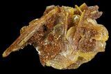 Wulfenite Crystals Cluster - Mexico #67712-1